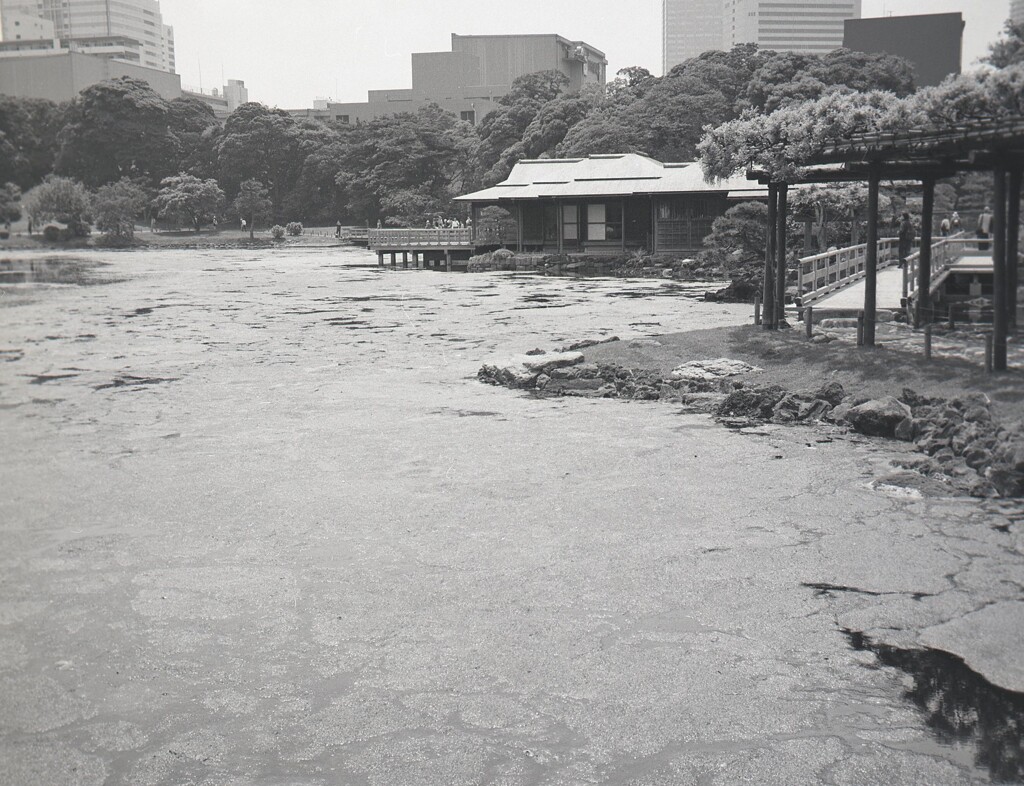 645ga012 - コピー (6)