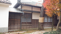 DSCF1713