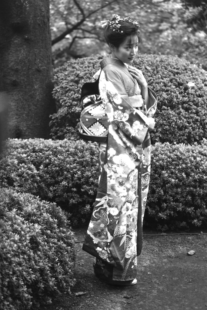 KIMONO-22