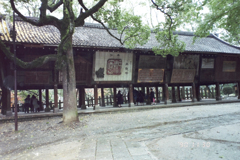 bijo-30