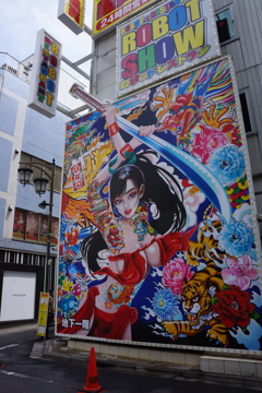 DSC07065