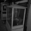 ricohgr (12 - 21)