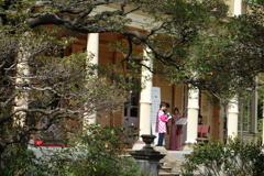 DSC02738