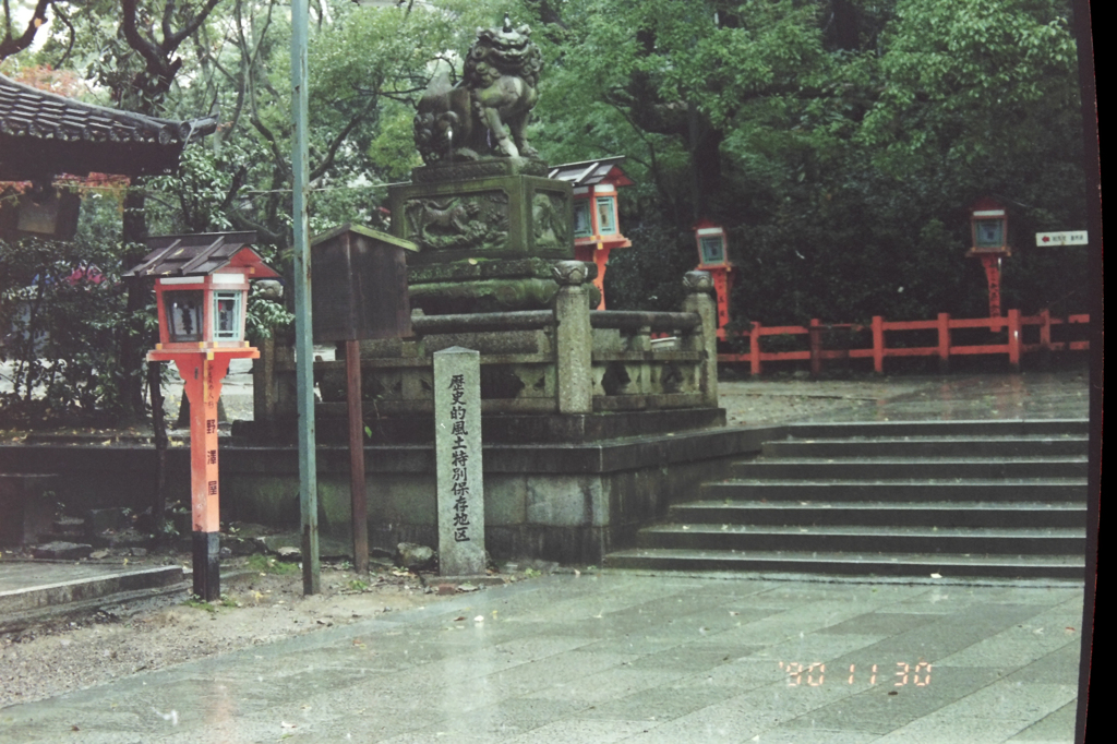 bijo-31