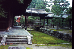 bijoKAIRYPOU-5