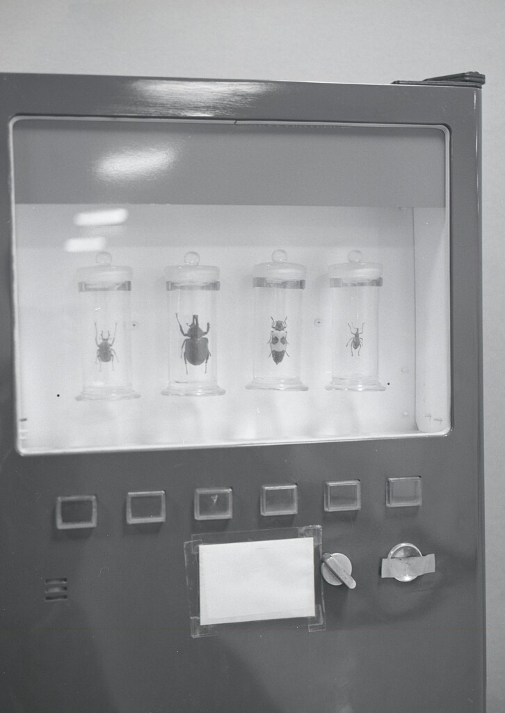 645ga014 - コピー (6)