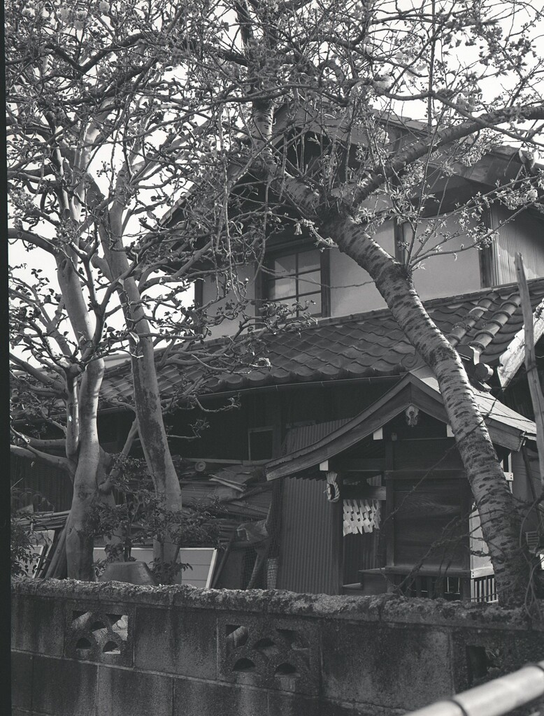 645ga015 - コピー (8)