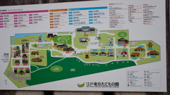 DSCF1706