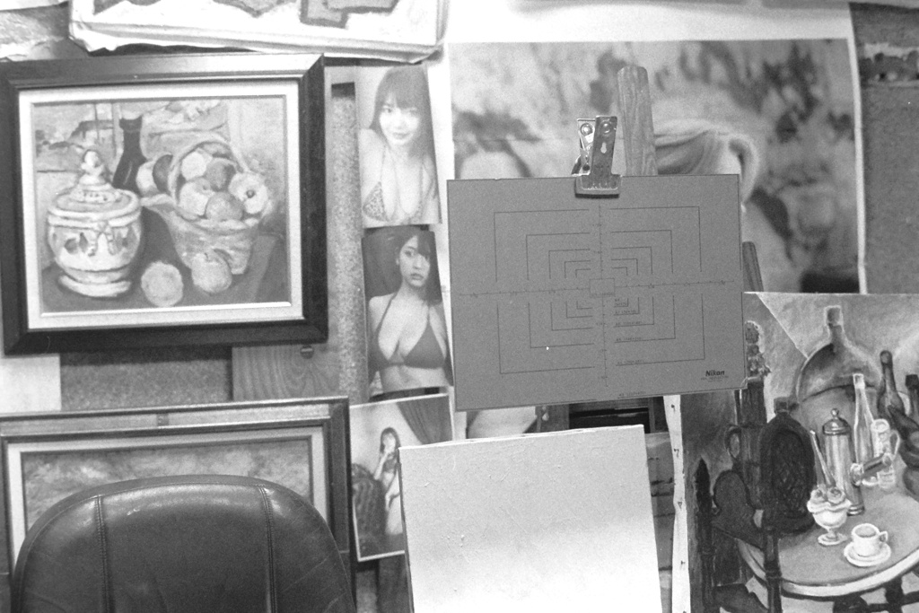 nikon em