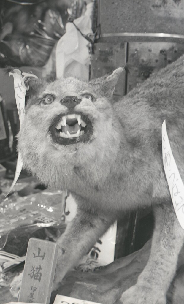 645ga002 - コピー (3)