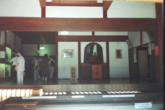 bijo-206