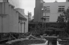 YASIKADELTA008