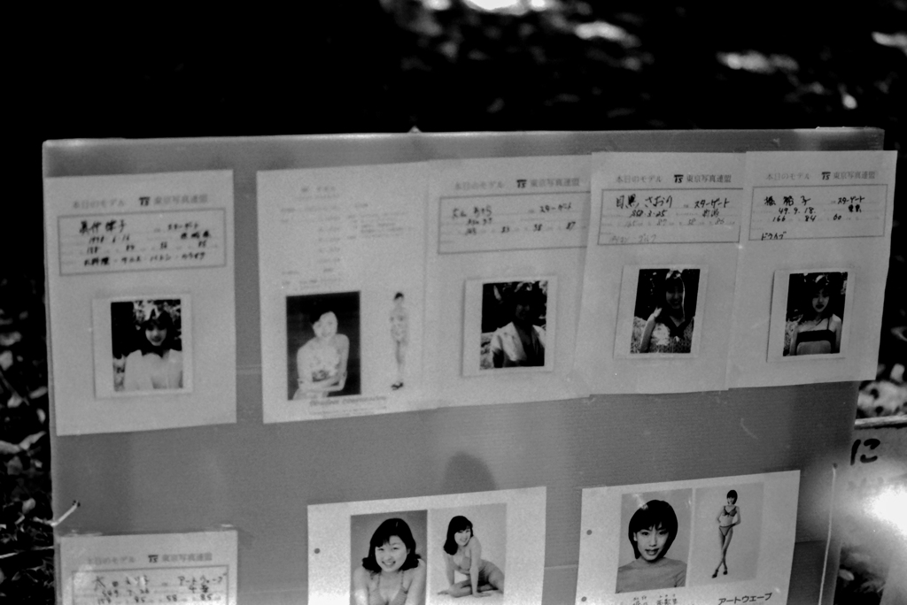 全東京写真連盟　　芝公園　　1998年　　5-31-10