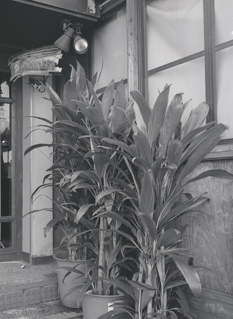 645ga015 - コピー (9)