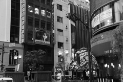 DSC00702