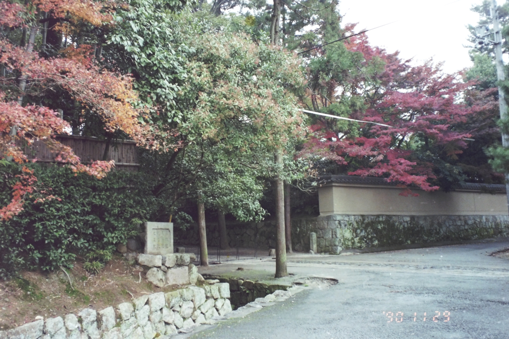 bijo-4
