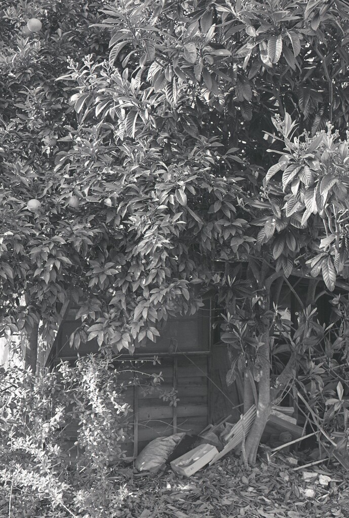 645ga015 - コピー (7)