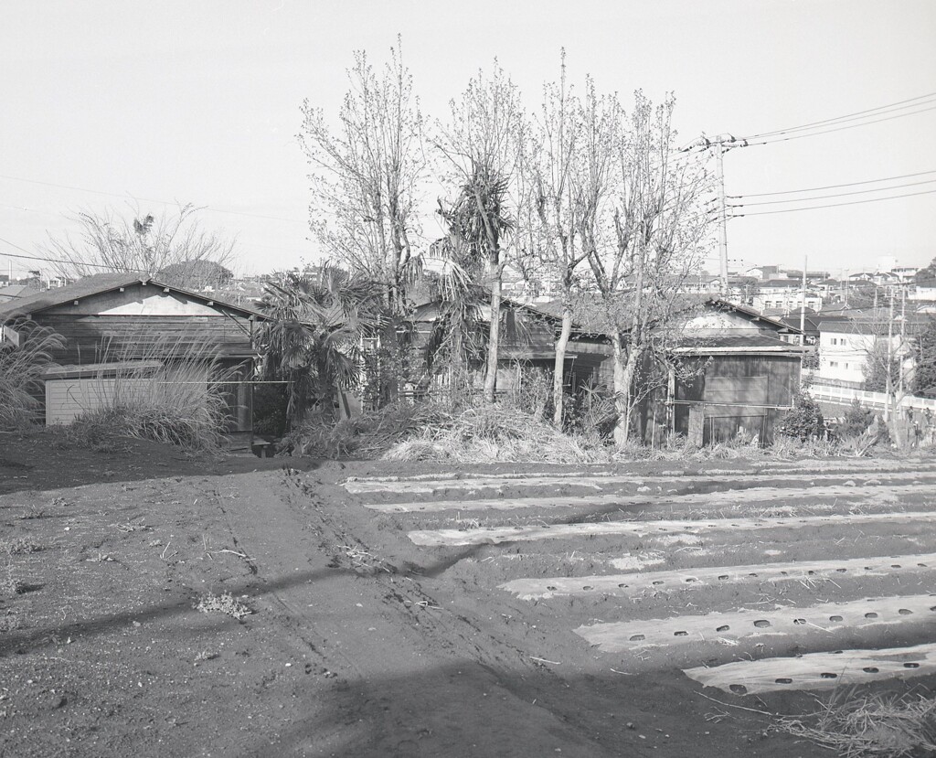 645ga015 - コピー (6)