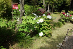 DSC02722