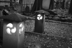 DSC09543