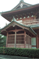bijo-7