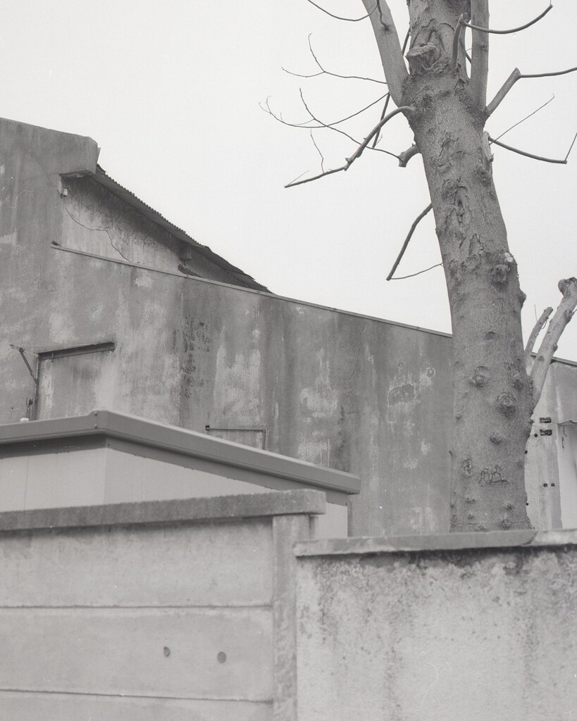 645ga010 - コピー (5)