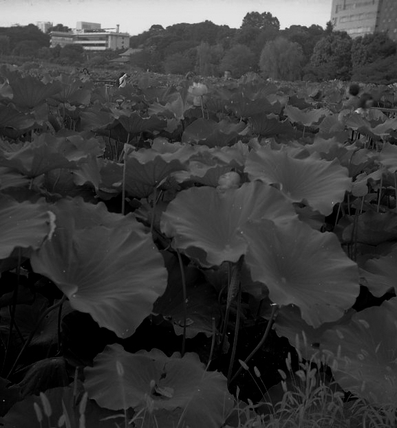 olympus6-23