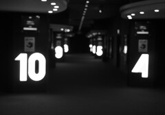 DSC09570 (2)