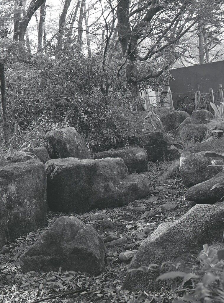 645ga014 - コピー (8)