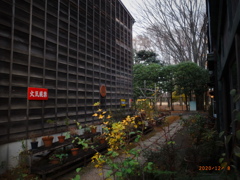 RIMG0156