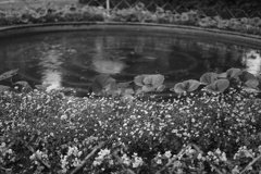 DSC09510