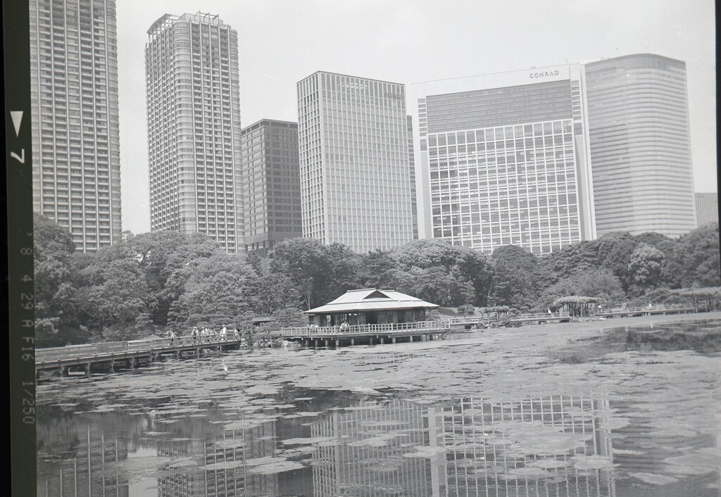 645ga012 - コピー (10)