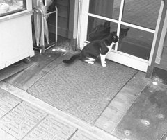 オリンパスペンEE3 (3 - 81)