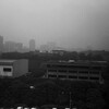 IMAG0017