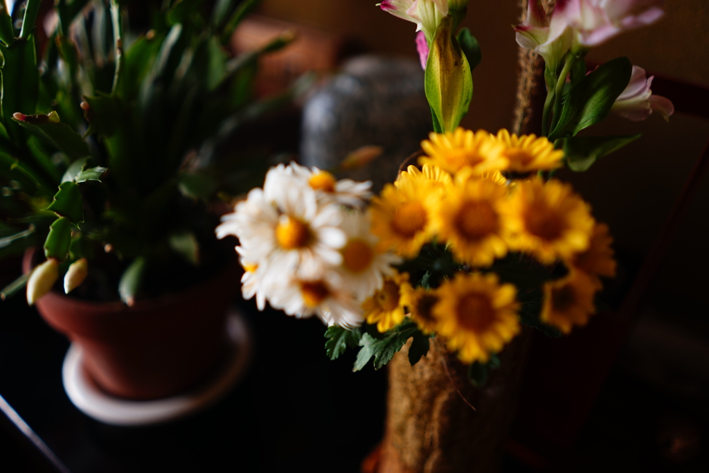DSC00290