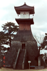 bijo-55