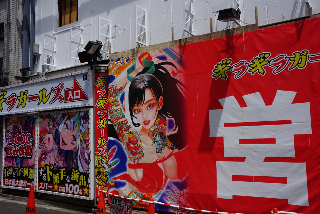 DSC07064