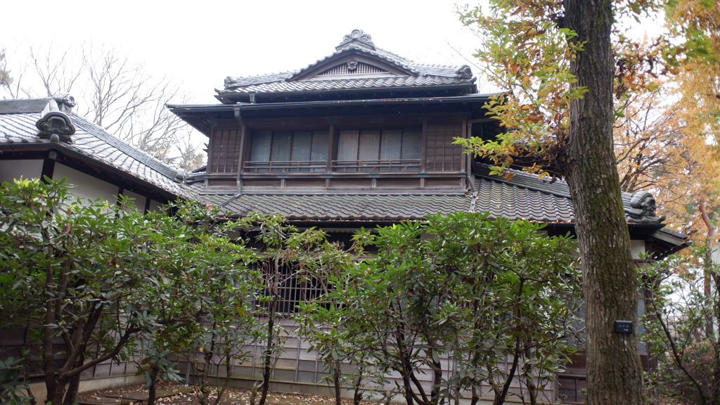 DSCF1711