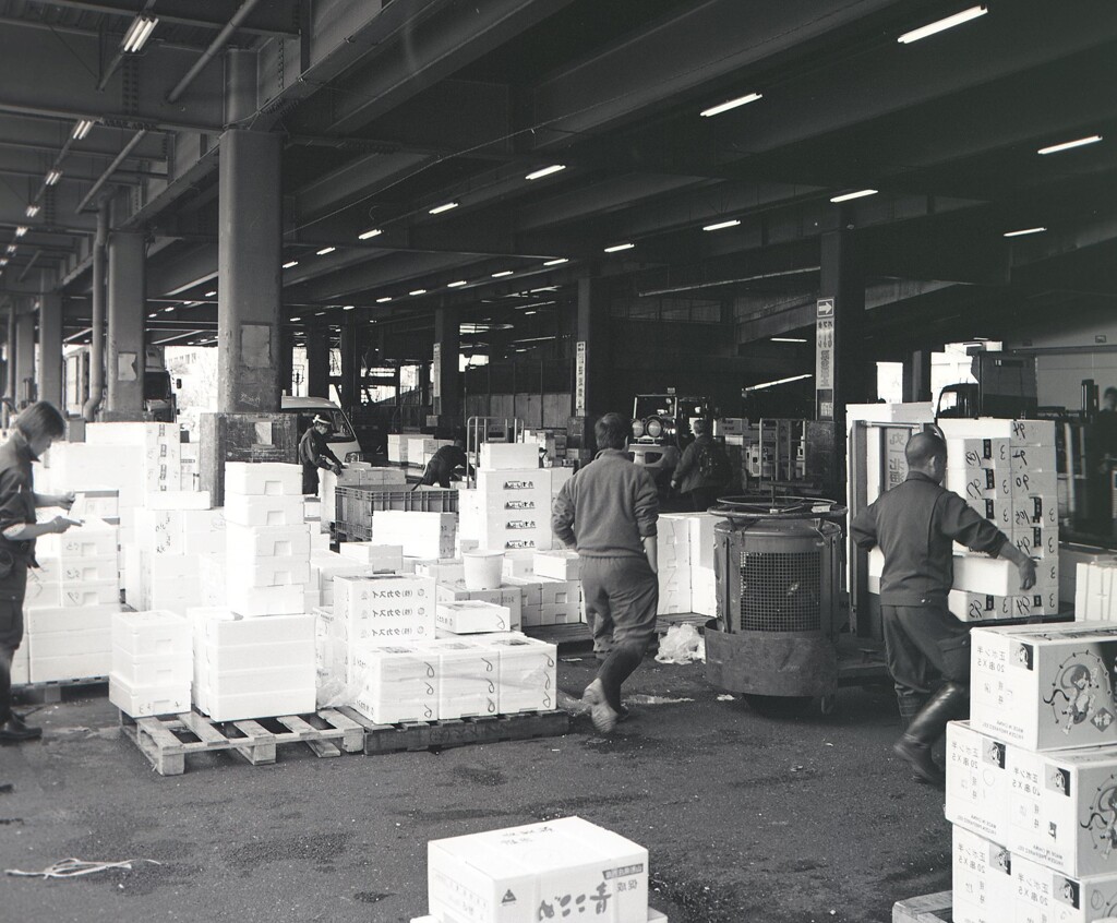 645ga003 - コピー - コピー (6)