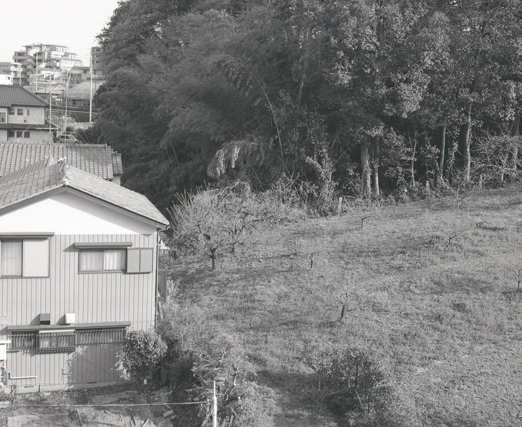 645ga015 - コピー (4)