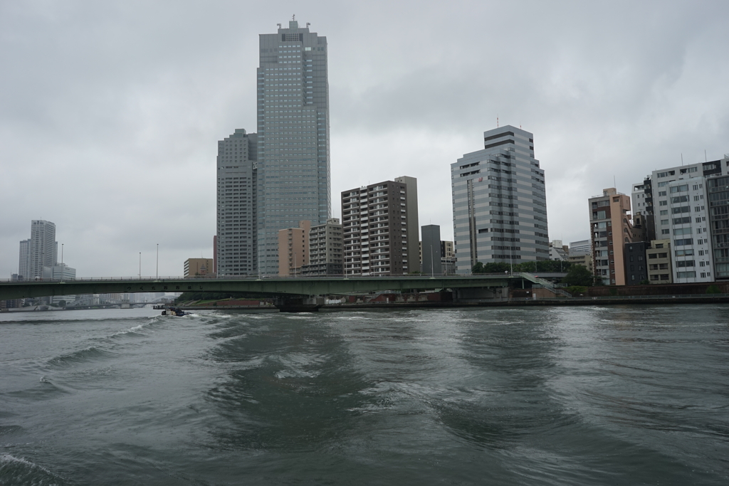 DSC06951