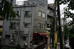 散歩-6