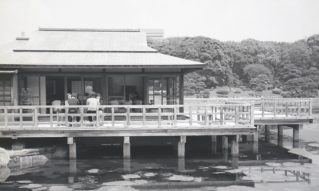 645ga012 - コピー (9)