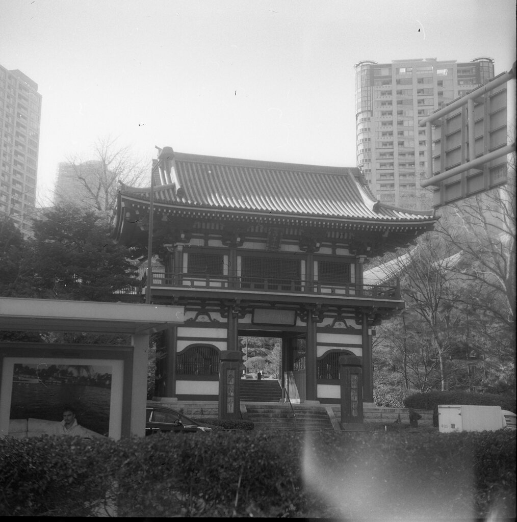 mamiya6 kominaru002