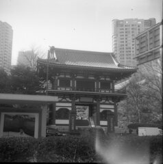 mamiya6 kominaru002