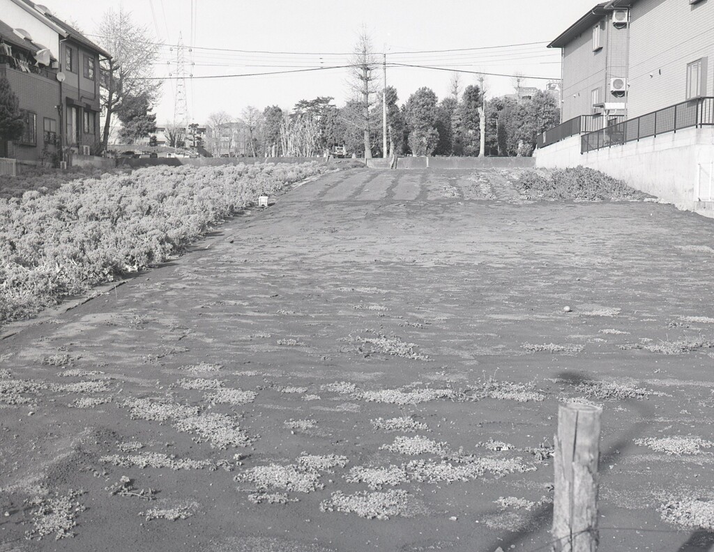 645ga015 - コピー (5)