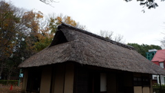 DSCF1705