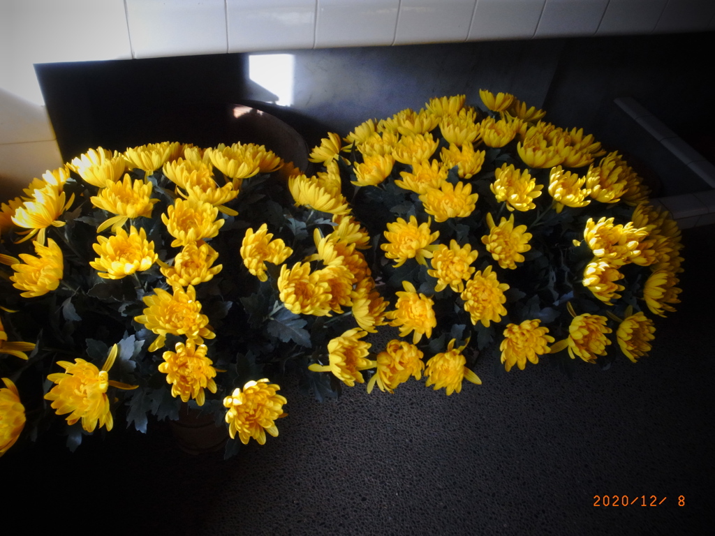 RIMG0162