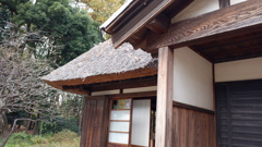 DSCF1701