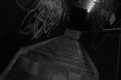 ricohgr (13 - 21)